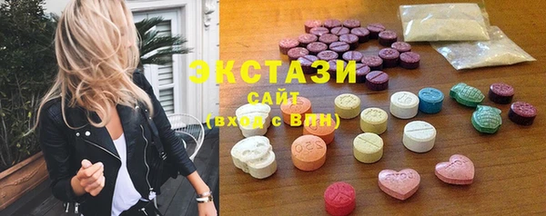 шишки Лабытнанги