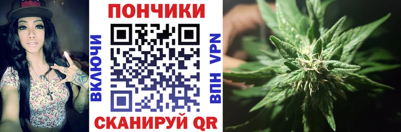 Бошки марихуана THC 21%  хочу наркоту  Новохопёрск 